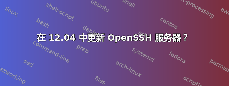 在 12.04 中更新 OpenSSH 服务器？