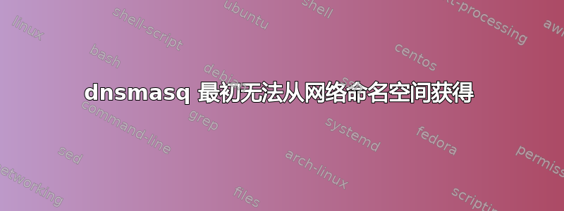 dnsmasq 最初无法从网络命名空间获得