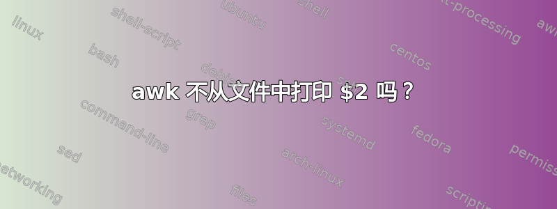 awk 不从文件中打印 $2 吗？