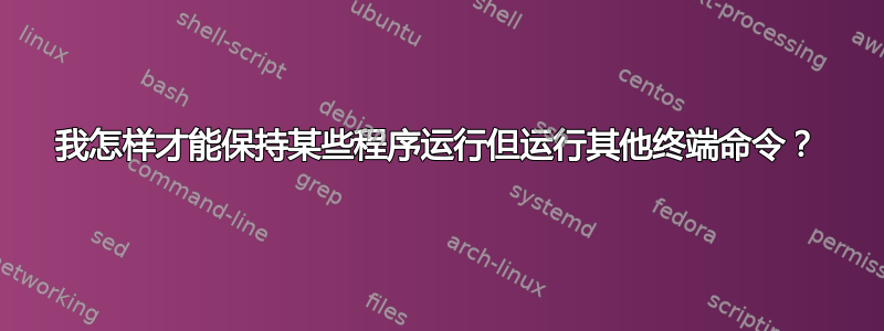 我怎样才能保持某些程序运行但运行其他终端命令？