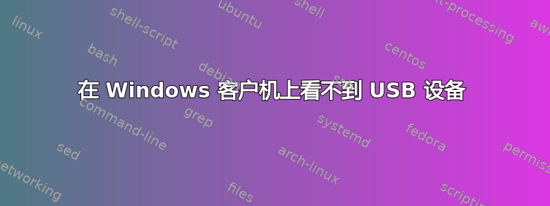 在 Windows 客户机上看不到 USB 设备