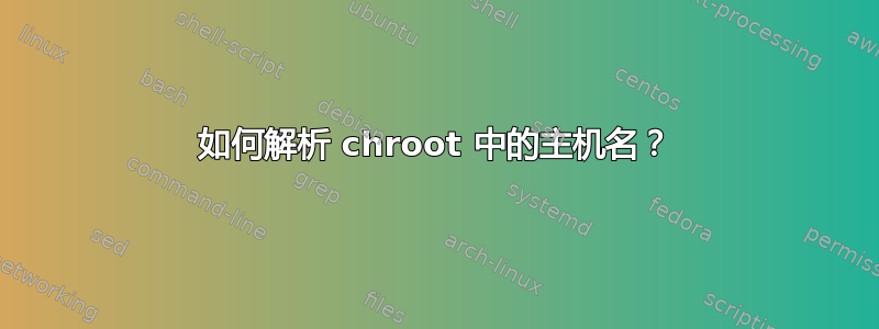 如何解析 chroot 中的主机名？