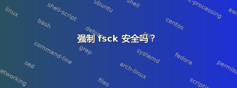 强制 fsck 安全吗？