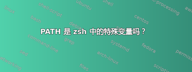 PATH 是 zsh 中的特殊变量吗？ 