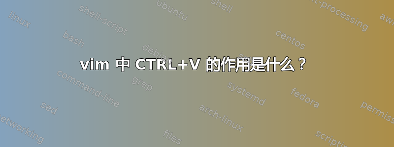 vim 中 CTRL+V 的作用是什么？