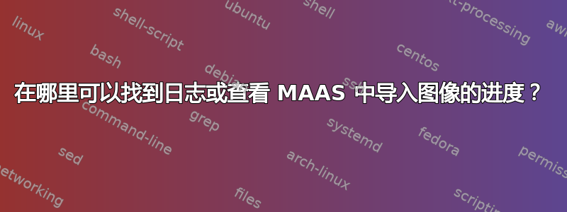 在哪里可以找到日志或查看 MAAS 中导入图像的进度？