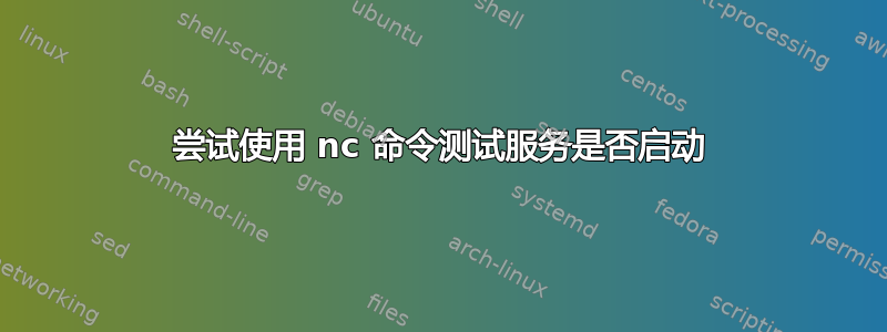 尝试使用 nc 命令测试服务是否启动