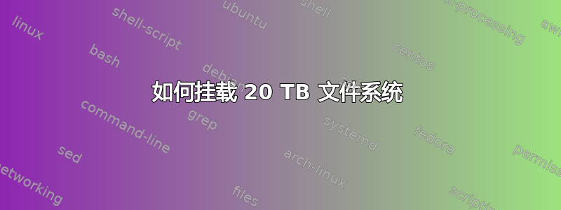 如何挂载 20 TB 文件系统