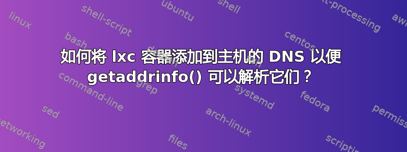 如何将 lxc 容器添加到主机的 DNS 以便 getaddrinfo() 可以解析它们？