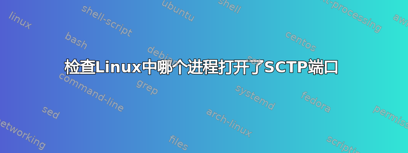 检查Linux中哪个进程打开了SCTP端口