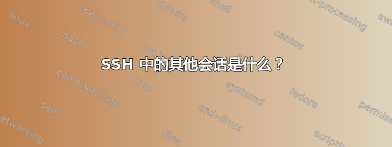 SSH 中的其他会话是什么？