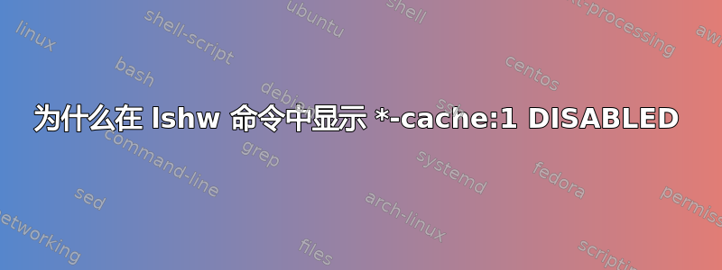 为什么在 lshw 命令中显示 *-cache:1 DISABLED