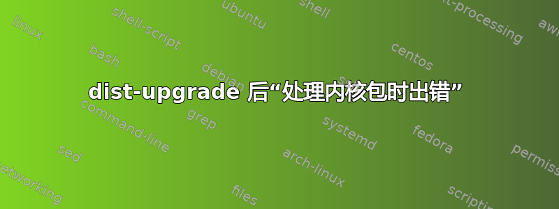 dist-upgrade 后“处理内核包时出错”