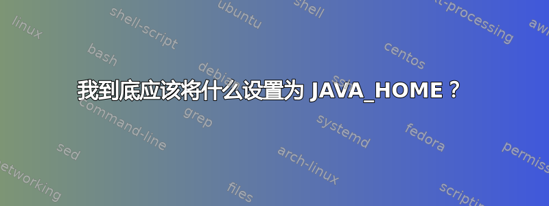 我到底应该将什么设置为 JAVA_HOME？