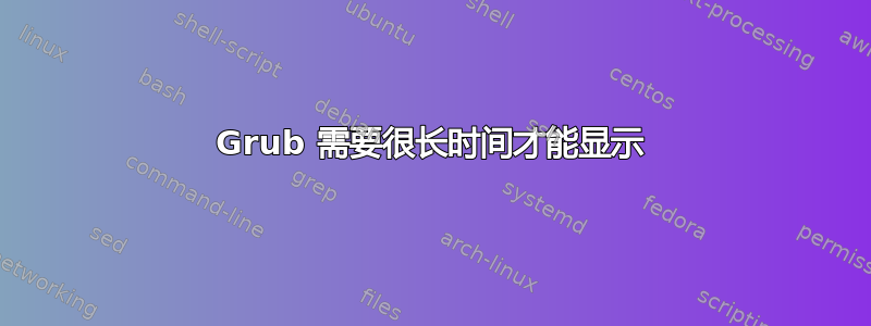 Grub 需要很长时间才能显示