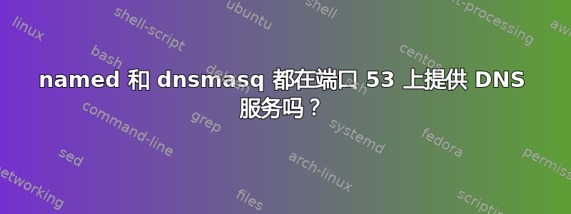 named 和 dnsmasq 都在端口 53 上提供 DNS 服务吗？