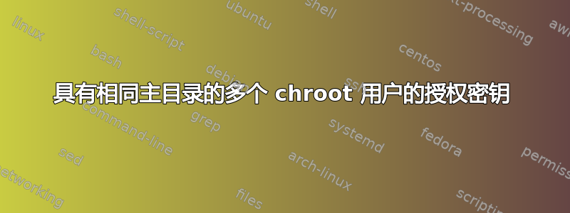 具有相同主目录的多个 chroot 用户的授权密钥