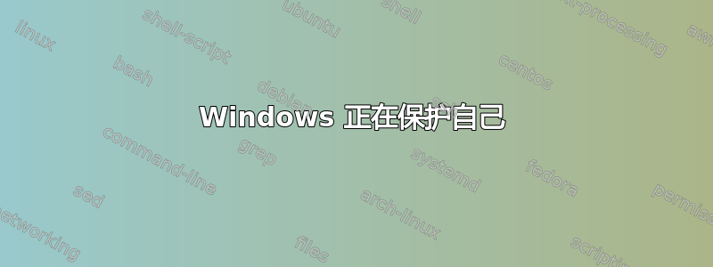 Windows 正在保护自己