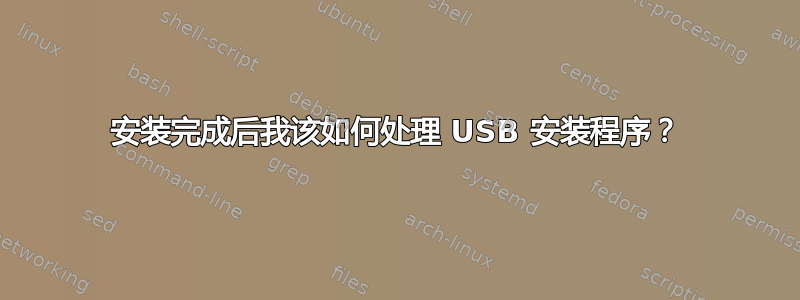 安装完成后我该如何处理 USB 安装程序？