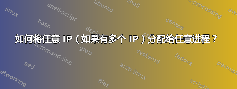 如何将任意 IP（如果有多个 IP）分配给任意进程？