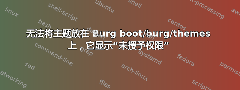 无法将主题放在 Burg boot/burg/themes 上，它显示“未授予权限”