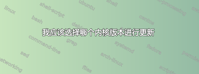 我应该选择哪个内核版本进行更新