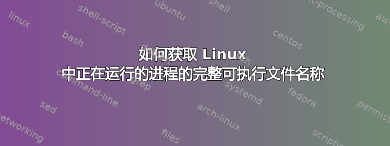 如何获取 Linux 中正在运行的进程的完整可执行文件名称