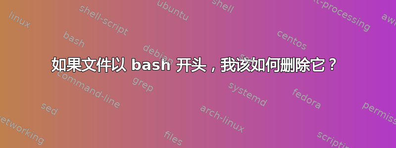 如果文件以 bash 开头，我该如何删除它？