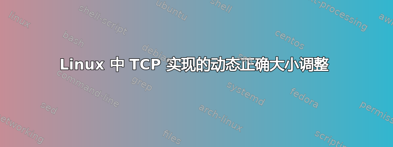 Linux 中 TCP 实现的动态正确大小调整