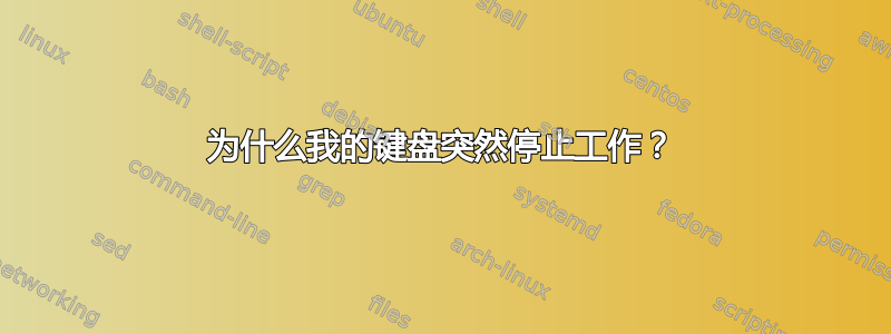 为什么我的键盘突然停止工作？