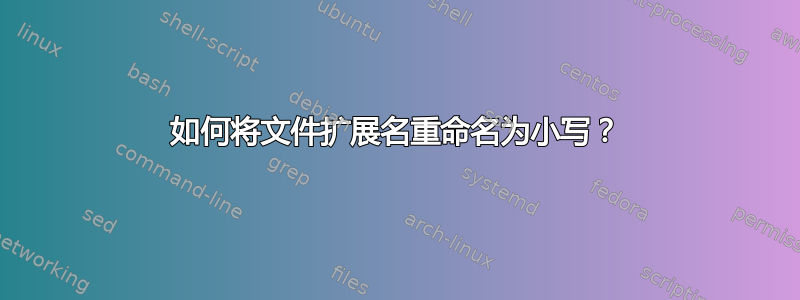 如何将文件扩展名重命名为小写？