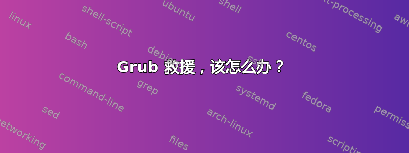 Grub 救援，该怎么办？