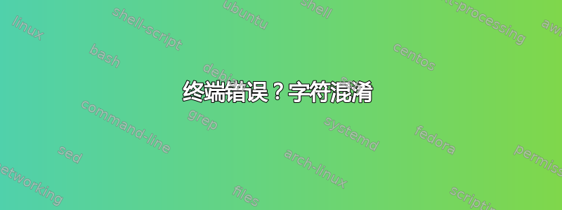 终端错误？字符混淆