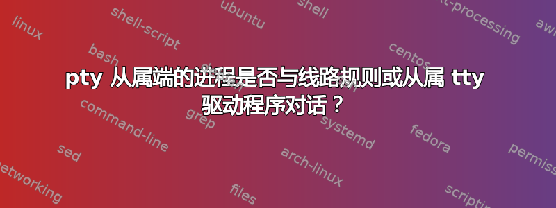 pty 从属端的进程是否与线路规则或从属 tty 驱动程序对话？