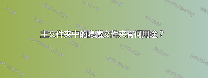 主文件夹中的隐藏文件夹有何用途？