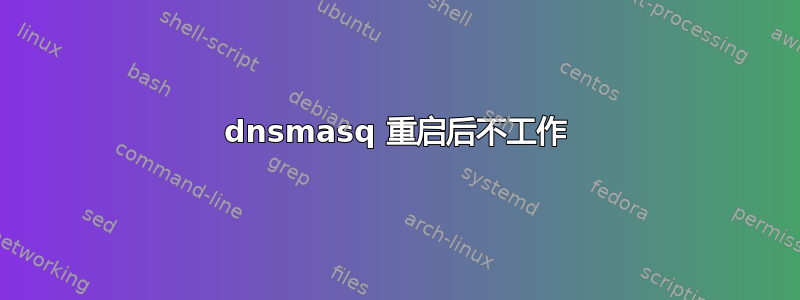 dnsmasq 重启后不工作