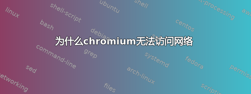 为什么chromium无法访问网络