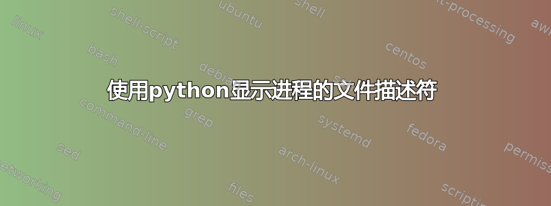 使用python显示进程的文件描述符