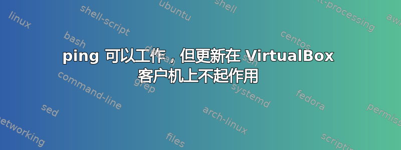 ping 可以工作，但更新在 VirtualBox 客户机上不起作用