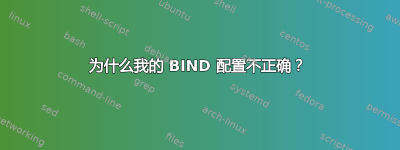 为什么我的 BIND 配置不正确？