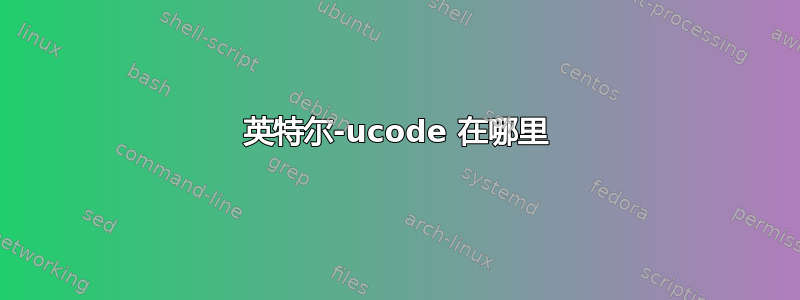 英特尔-ucode 在哪里