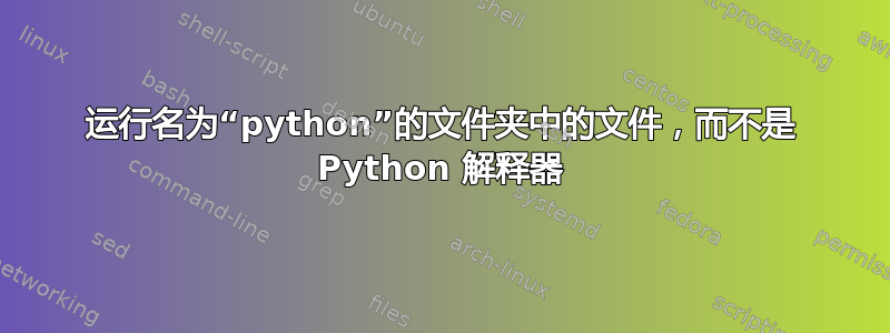 运行名为“python”的文件夹中的文件，而不是 Python 解释器