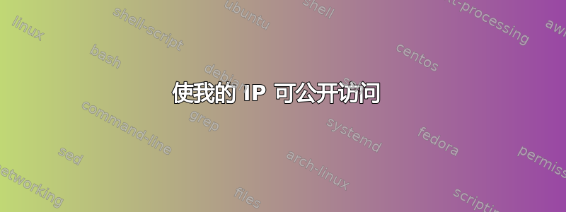 使我的 IP 可公开访问 