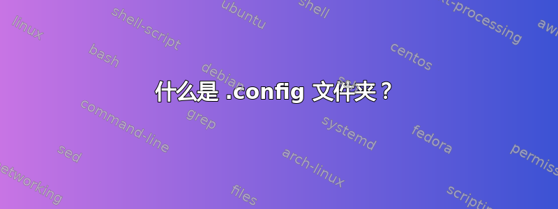 什么是 .config 文件夹？