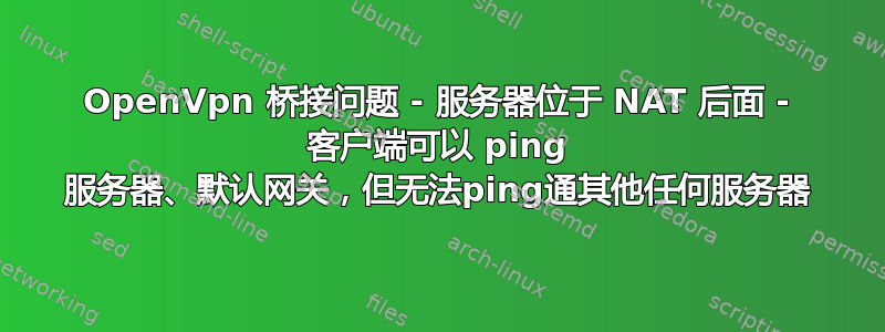 OpenVpn 桥接问题 - 服务器位于 NAT 后面 - 客户端可以 ping 服务器、默认网关，但无法ping通其他任何服务器