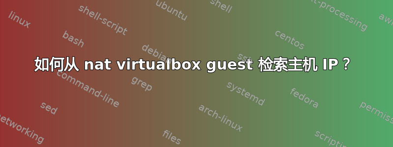 如何从 nat virtualbox guest 检索主机 IP？