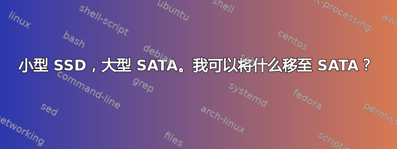 小型 SSD，大型 SATA。我可以将什么移至 SATA？