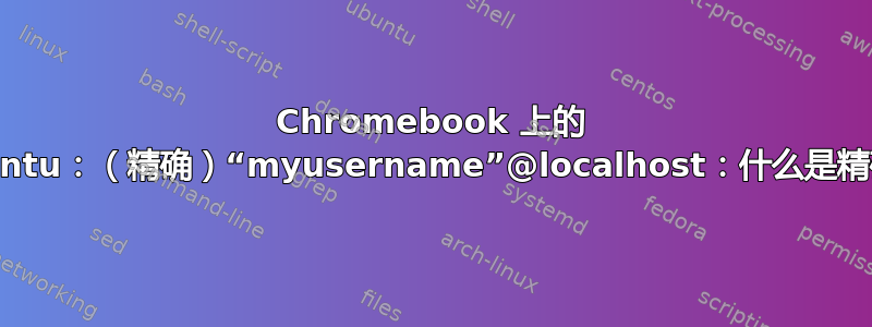 Chromebook 上的 Ubuntu：（精确）“myusername”@localhost：什么是精确？