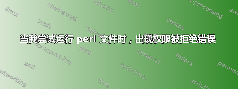 当我尝试运行 perl 文件时，出现权限被拒绝错误