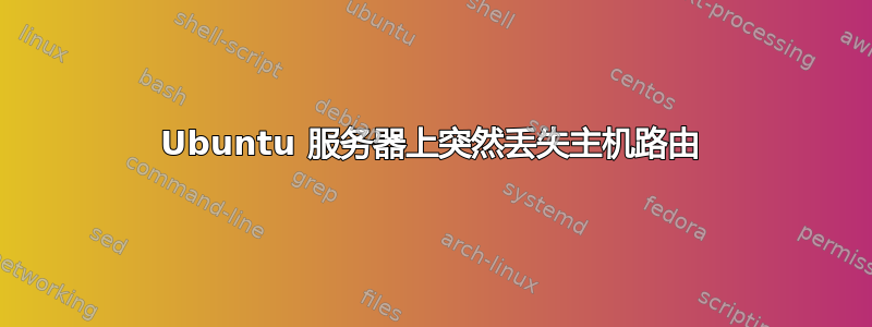 Ubuntu 服务器上突然丢失主机路由